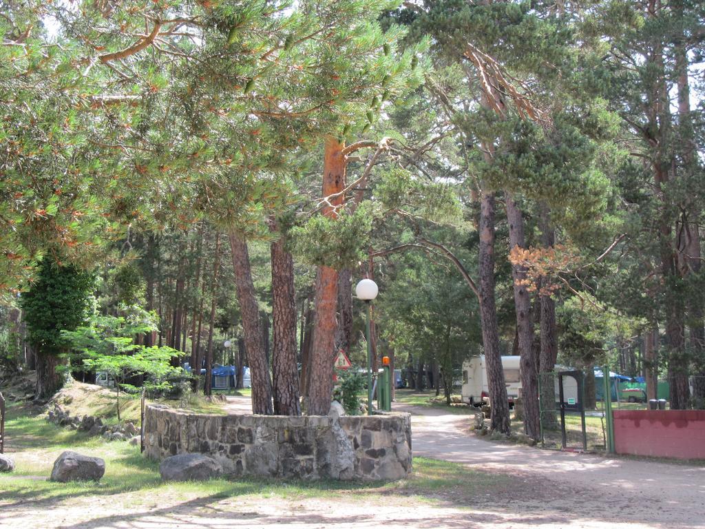 Camping Cobijo Vinuesa Buitenkant foto